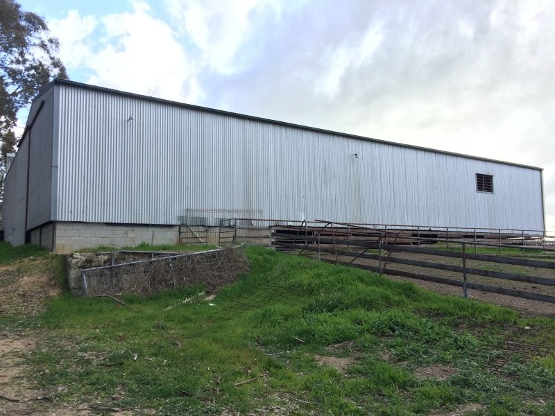 136 Frenchs Road, Flaxman Valley SA 5235