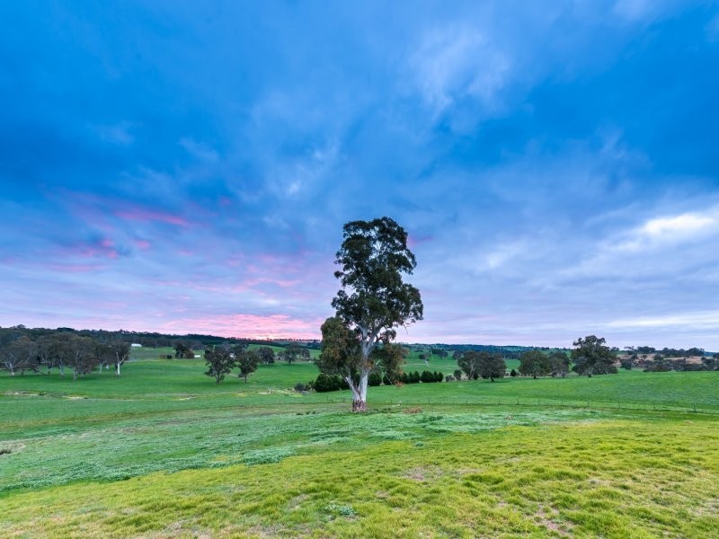136 Frenchs Road, Flaxman Valley SA 5235