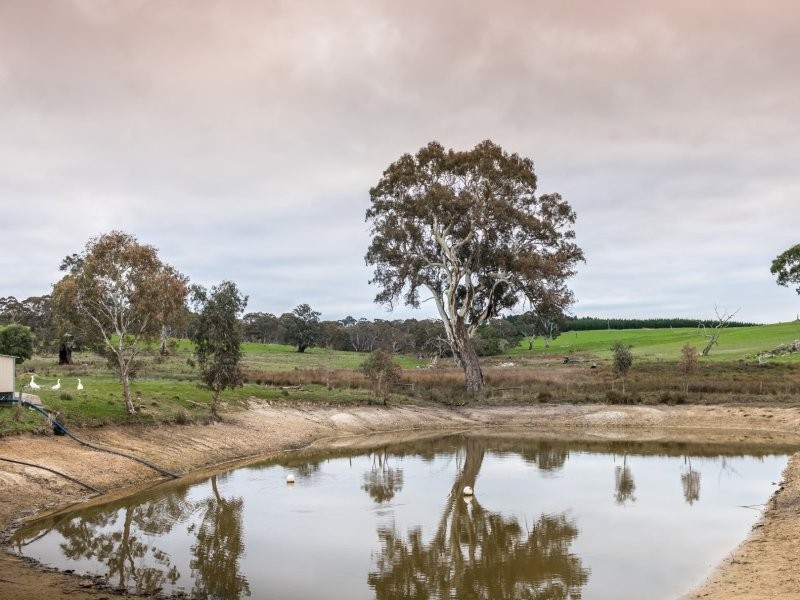 136 Frenchs Road, Flaxman Valley SA 5235