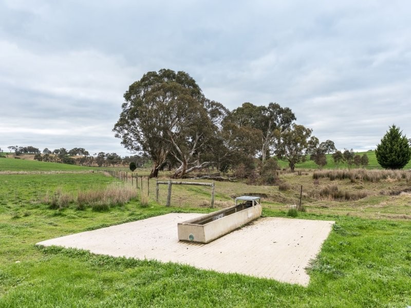 136 Frenchs Road, Flaxman Valley SA 5235