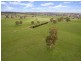 136 Frenchs Road, Flaxman Valley SA 5235