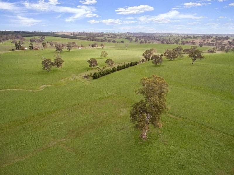 136 Frenchs Road, Flaxman Valley SA 5235