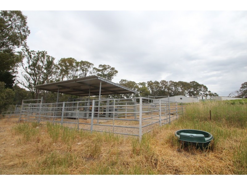 136 Frenchs Road, Angaston SA 5353