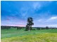136 Frenchs Road, Angaston SA 5353