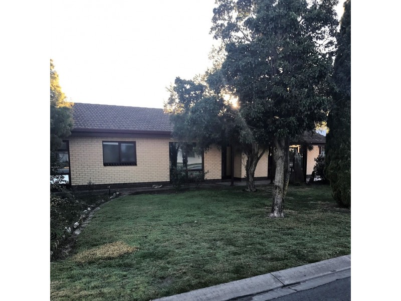 9 Staehr Street, Nuriootpa SA 5355