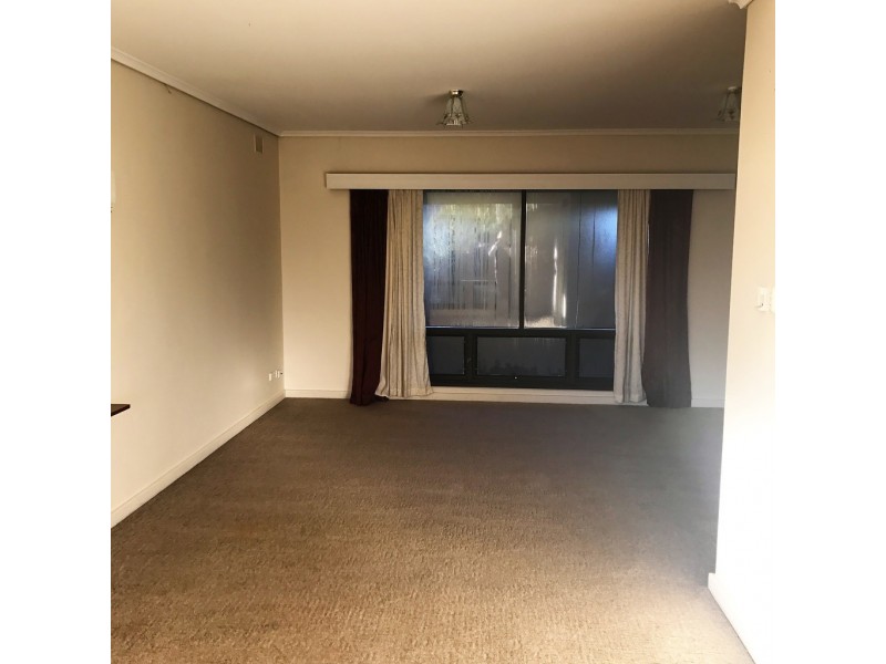 9 Staehr Street, Nuriootpa SA 5355