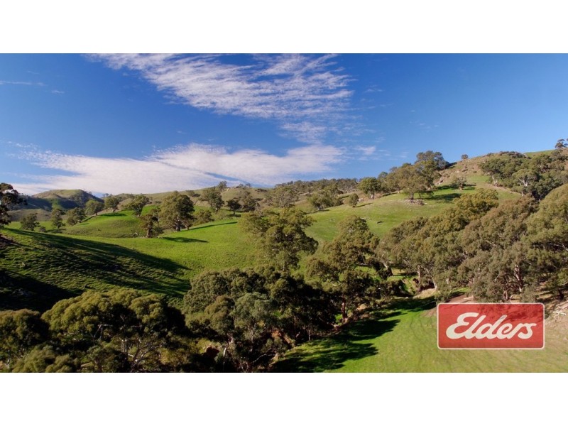 Lot 9 and 11, and Section 3182, Tweedies Gully Road, Lyndoch SA 5351