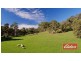 Lot 9 and 11, and Section 3182, Tweedies Gully Road, Lyndoch SA 5351