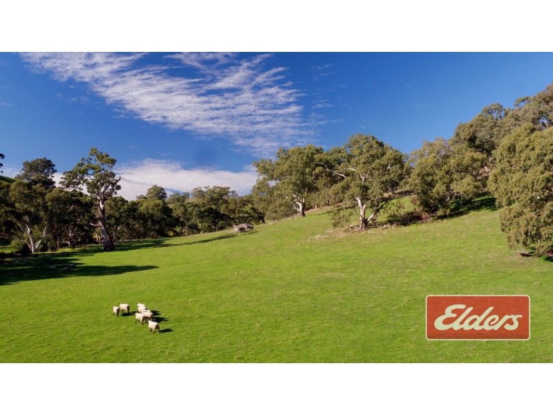 Lot 9 and 11, and Section 3182, Tweedies Gully Road, Lyndoch SA 5351