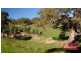 Lot 9 and 11, and Section 3182, Tweedies Gully Road, Lyndoch SA 5351