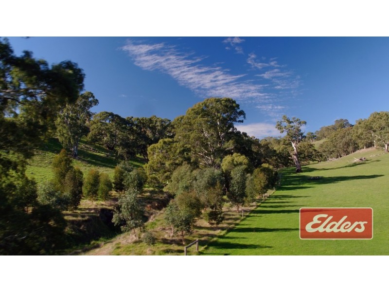 Lot 9 and 11, and Section 3182, Tweedies Gully Road, Lyndoch SA 5351