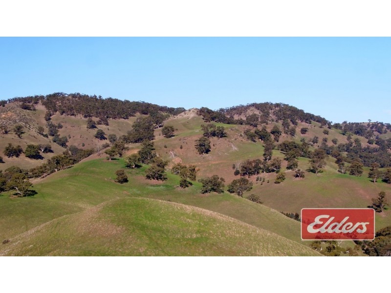 Lot 9 and 11, and Section 3182, Tweedies Gully Road, Lyndoch SA 5351