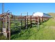 Lot 9 and 11, and Section 3182, Tweedies Gully Road, Lyndoch SA 5351