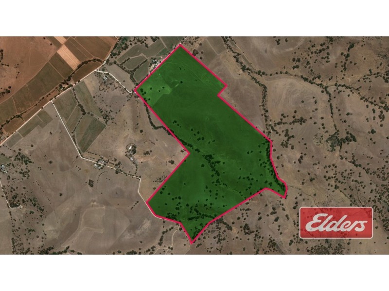 Lot 9 and 11, and Section 3182, Tweedies Gully Road, Lyndoch SA 5351