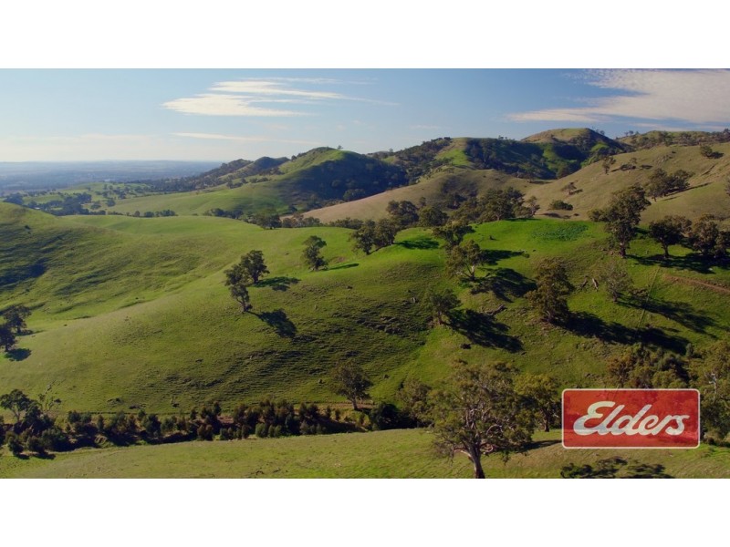 Lot 9 and 11, and Section 3182, Tweedies Gully Road, Lyndoch SA 5351