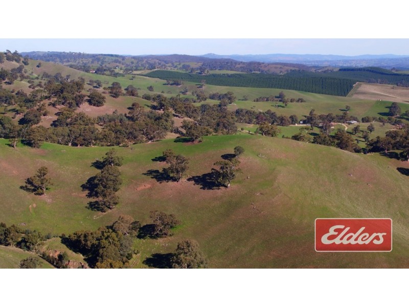Lot 9 and 11, and Section 3182, Tweedies Gully Road, Lyndoch SA 5351