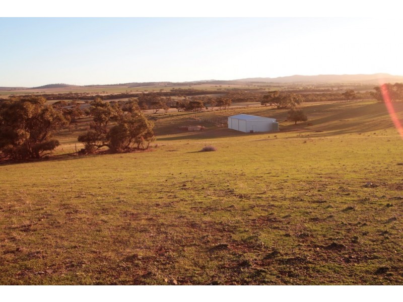 Lot 401 North Hills Road, Dutton East SA 5356