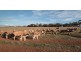 Lot 401 North Hills Road, Dutton East SA 5356