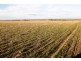 Lot 401 North Hills Road, Dutton East SA 5356