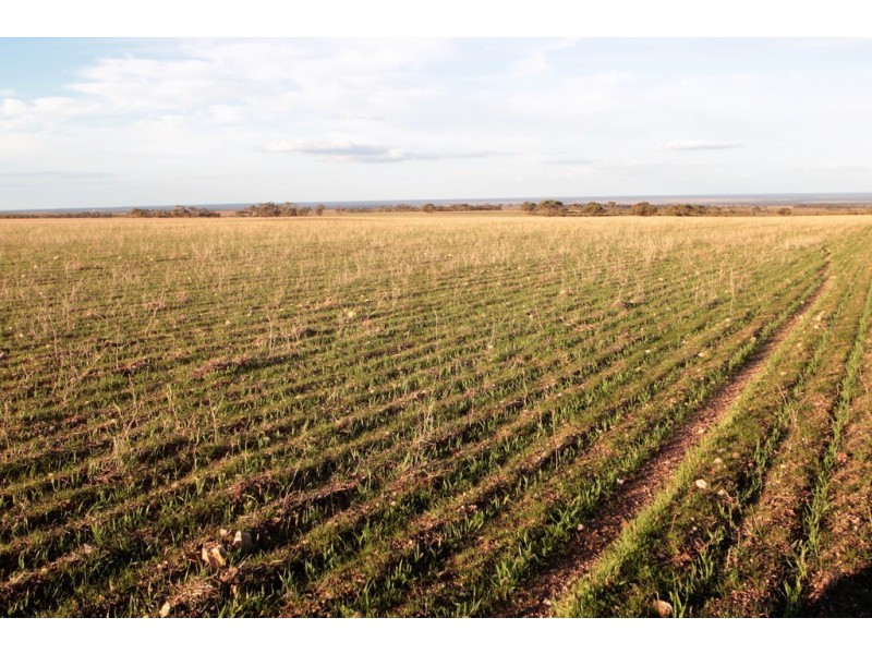 Lot 401 North Hills Road, Dutton East SA 5356