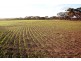 Lot 401 North Hills Road, Dutton East SA 5356