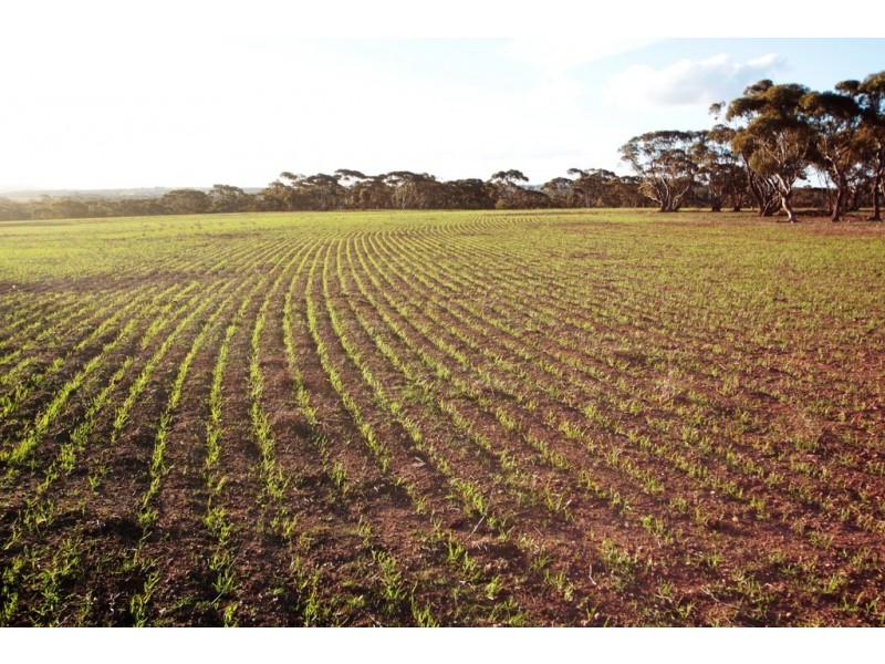 Lot 401 North Hills Road, Dutton East SA 5356