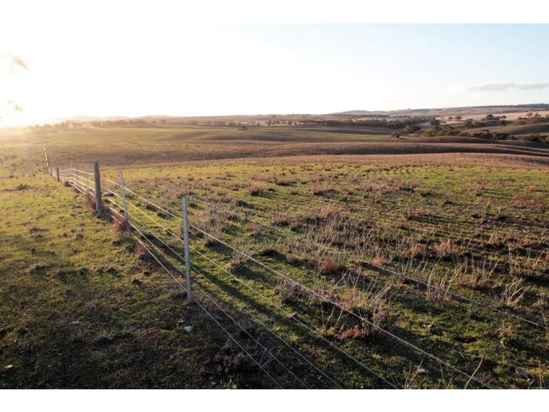 Lot 401 North Hills Road, Dutton East SA 5356