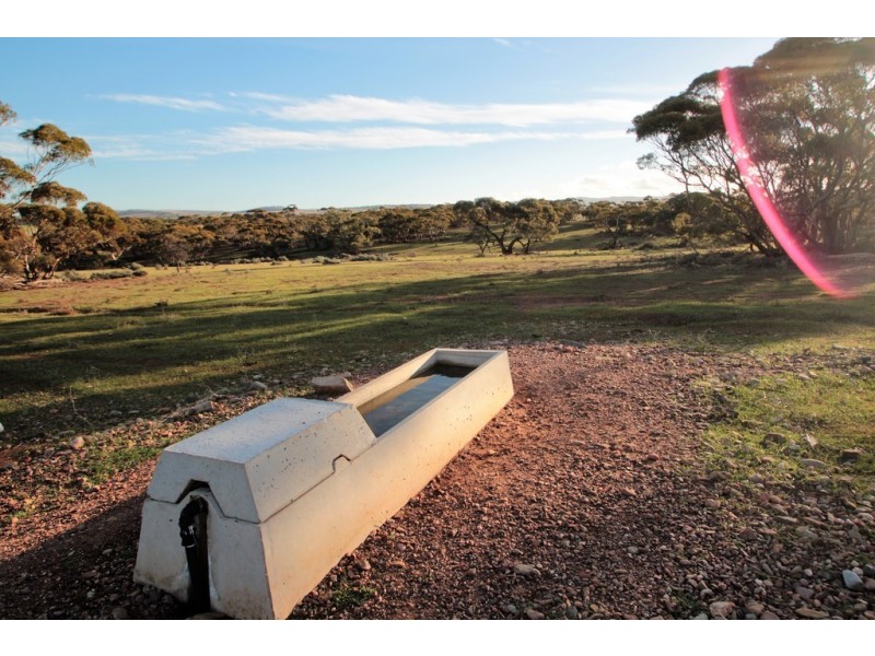 Lot 401 North Hills Road, Dutton East SA 5356