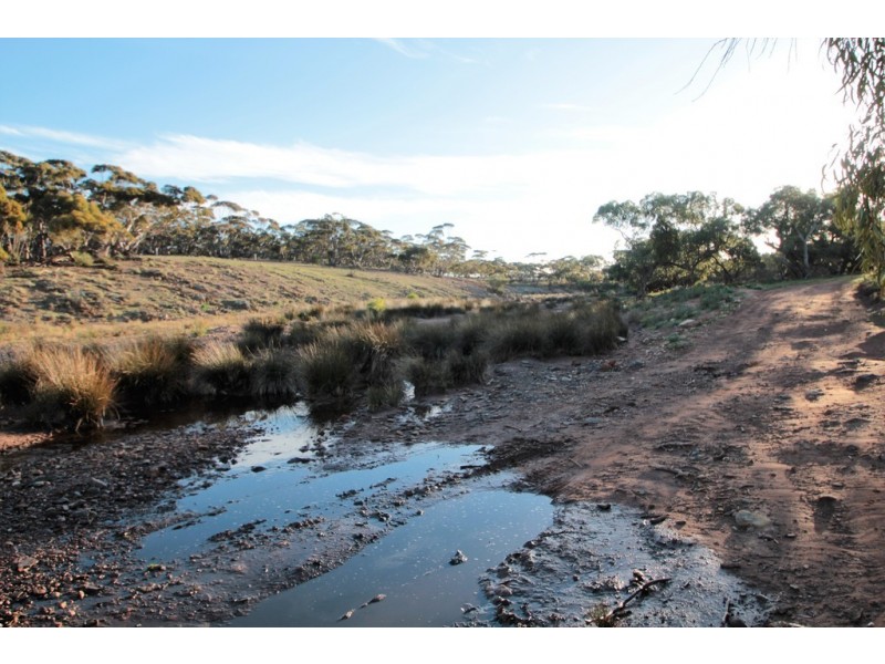 Lot 401 North Hills Road, Dutton East SA 5356