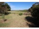 228 Moculta Road, Angaston SA 5353