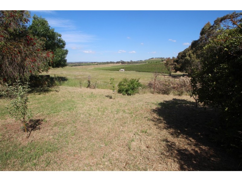 228 Moculta Road, Angaston SA 5353