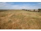 228 Moculta Road, Angaston SA 5353