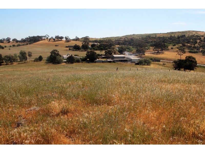 228 Moculta Road, Angaston SA 5353