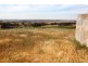 228 Moculta Road, Angaston SA 5353