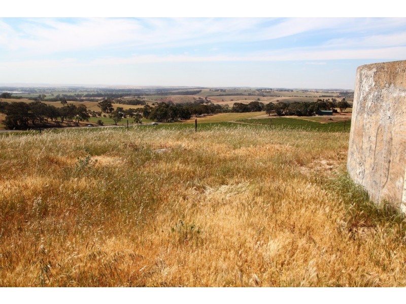 228 Moculta Road, Angaston SA 5353