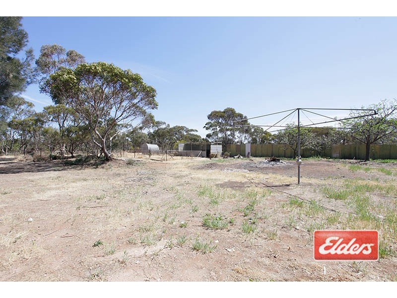 53 Angaston-Swan Reach Road, Sedan SA 5353
