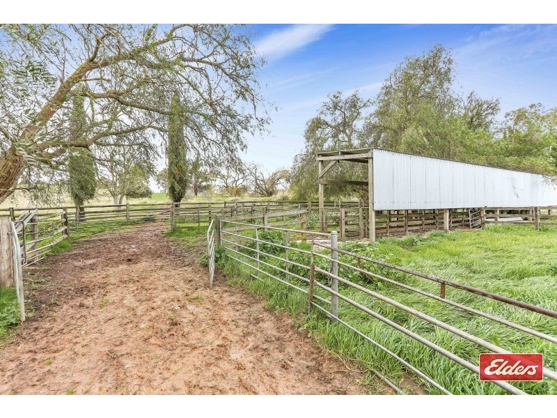 297 Hill Climb Road, Angaston SA 5353