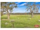 297 Hill Climb Road, Angaston SA 5353