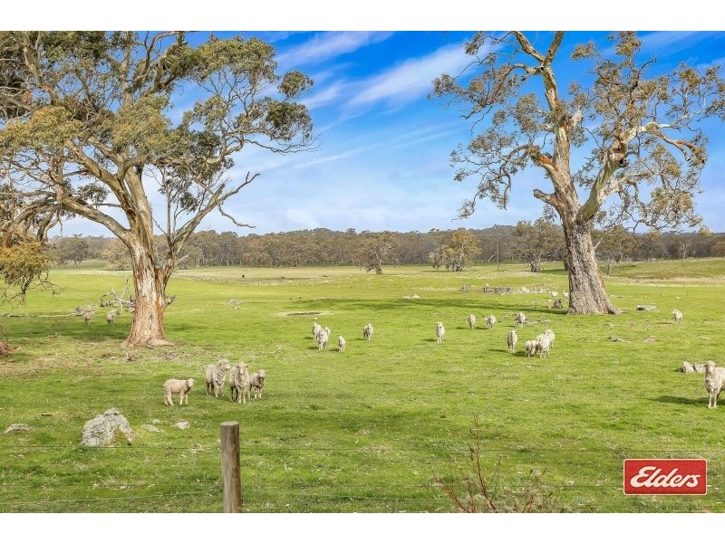 297 Hill Climb Road, Angaston SA 5353