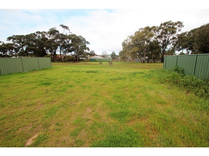 8 Schaedel Street, Nuriootpa SA 5355