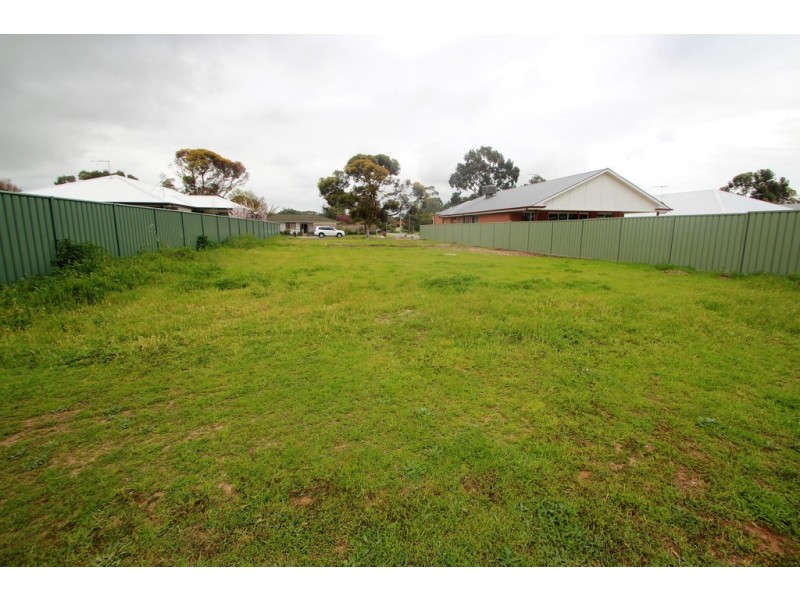 8 Schaedel Street, Nuriootpa SA 5355