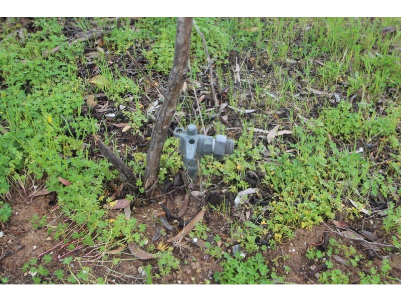 8 Schaedel Street, Nuriootpa SA 5355