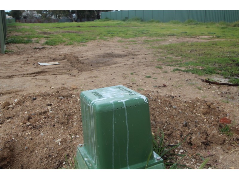 8 Schaedel Street, Nuriootpa SA 5355