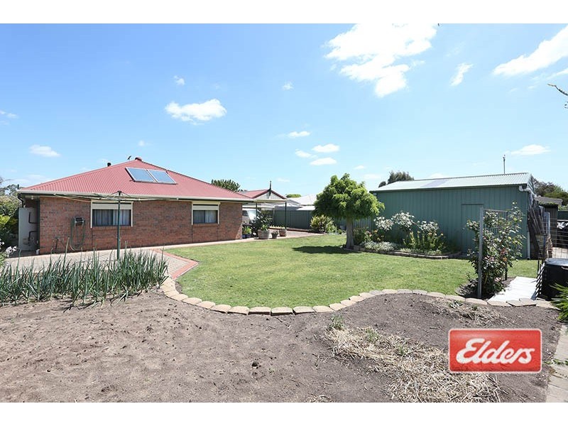 5 Oxley Street, Nuriootpa SA 5355