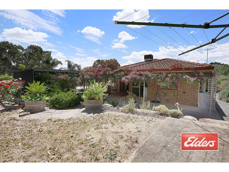 17 Colonel Light Drive, Lyndoch SA 5351