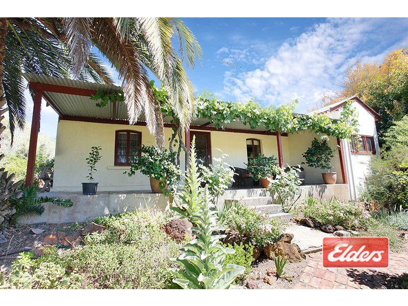 389 Moppa Springs Road, Nuriootpa SA 5355