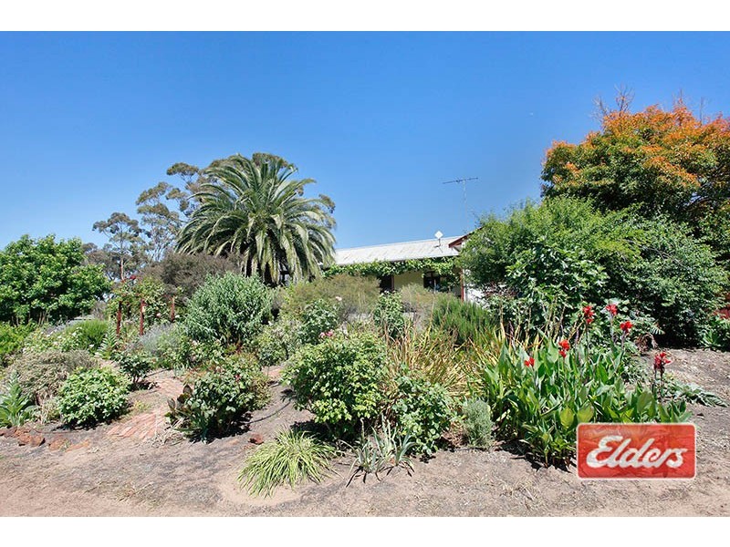 389 Moppa Springs Road, Nuriootpa SA 5355