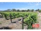 389 Moppa Springs Road, Nuriootpa SA 5355