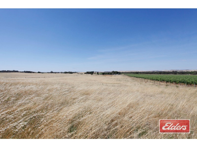 61 Neukirch Road, Nuriootpa SA 5355