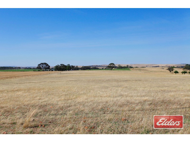 61 Neukirch Road, Nuriootpa SA 5355